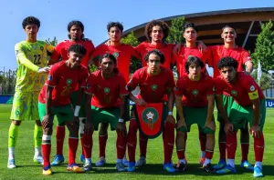 مواجهة المنتخب الوطني والسنغالي في نصف نهائي كأس أمم إفر